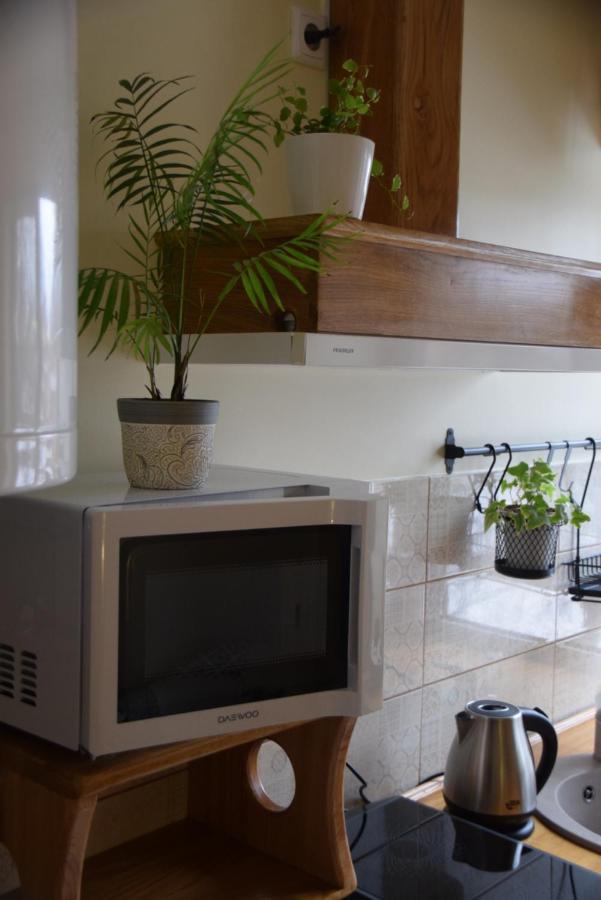 Parka Apartamenti Kuldiga Ngoại thất bức ảnh
